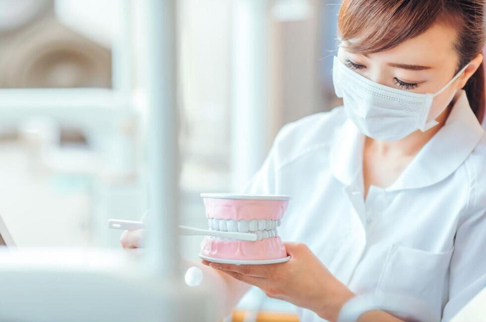 歯の模型と歯ブラシを使って歯磨き指導をしている歯科衛生士