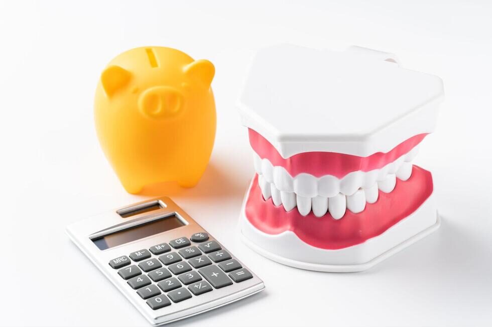 歯の模型と豚の貯金箱、電卓