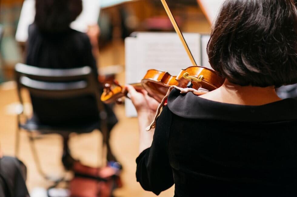 バイオリン奏者の後ろ姿